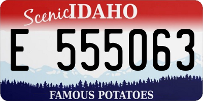 ID license plate E555063