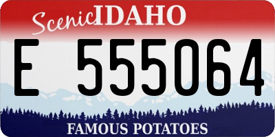 ID license plate E555064