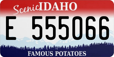 ID license plate E555066