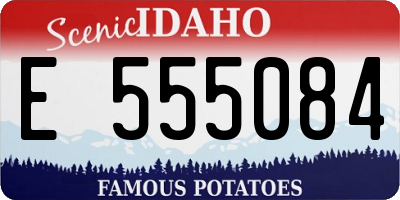ID license plate E555084