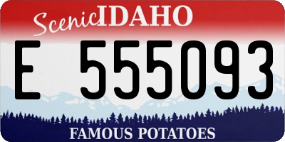 ID license plate E555093