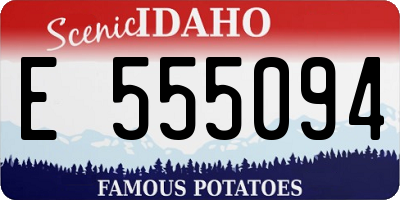 ID license plate E555094
