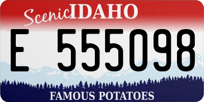 ID license plate E555098