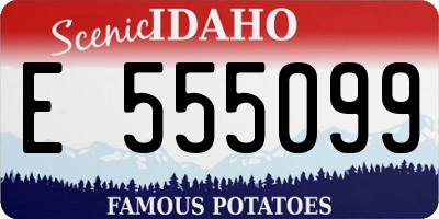 ID license plate E555099