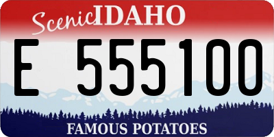 ID license plate E555100