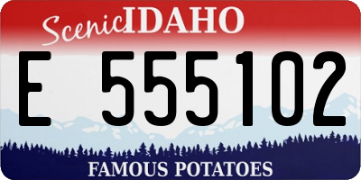 ID license plate E555102