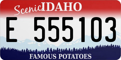 ID license plate E555103