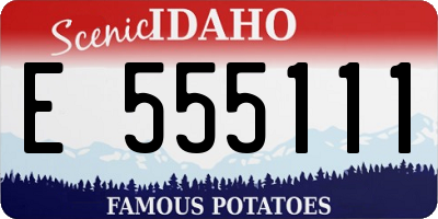 ID license plate E555111