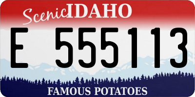 ID license plate E555113