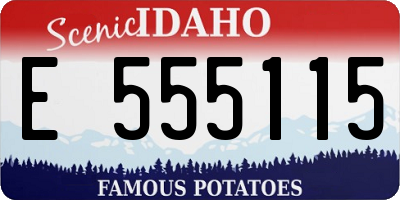 ID license plate E555115
