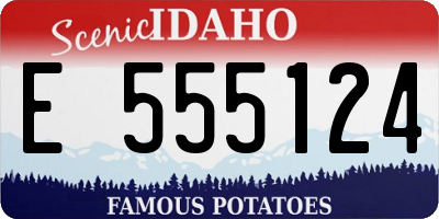 ID license plate E555124