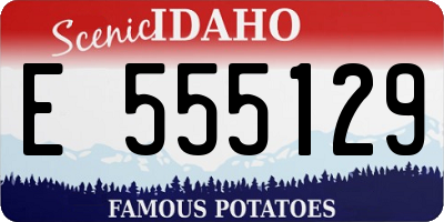 ID license plate E555129