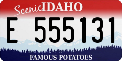 ID license plate E555131