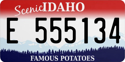 ID license plate E555134