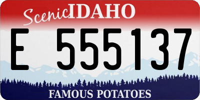 ID license plate E555137