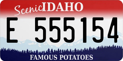 ID license plate E555154