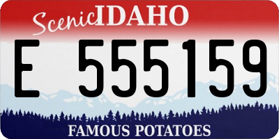 ID license plate E555159