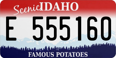 ID license plate E555160