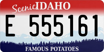 ID license plate E555161