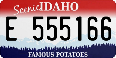 ID license plate E555166
