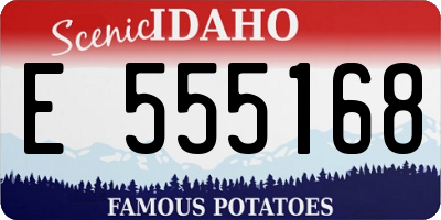 ID license plate E555168