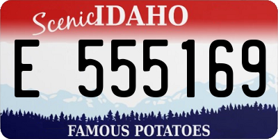 ID license plate E555169