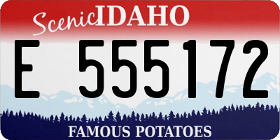 ID license plate E555172