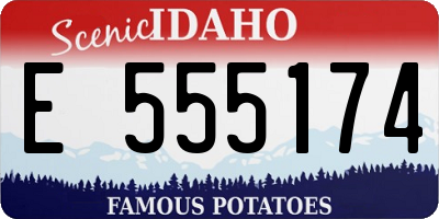 ID license plate E555174