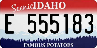 ID license plate E555183