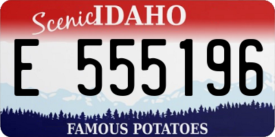 ID license plate E555196