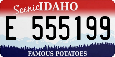 ID license plate E555199