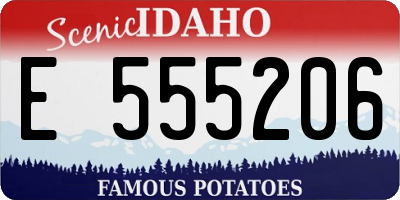 ID license plate E555206