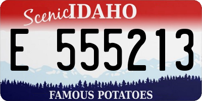 ID license plate E555213