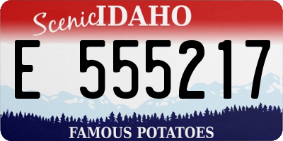 ID license plate E555217