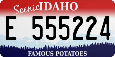 ID license plate E555224