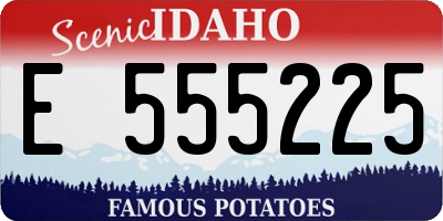 ID license plate E555225