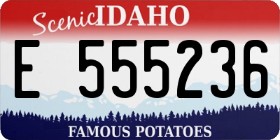 ID license plate E555236