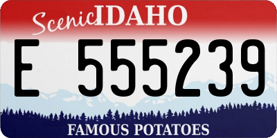 ID license plate E555239