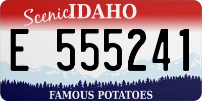 ID license plate E555241