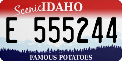 ID license plate E555244