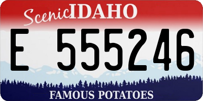 ID license plate E555246