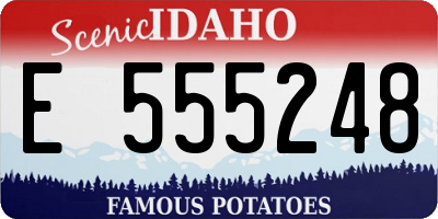 ID license plate E555248