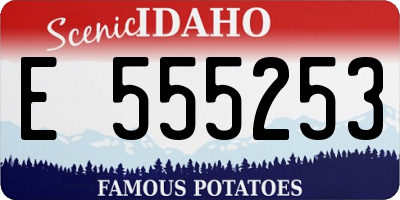 ID license plate E555253