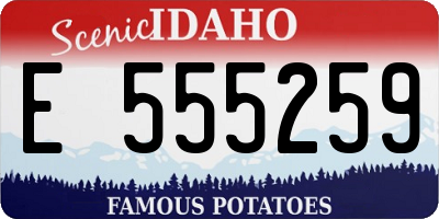 ID license plate E555259