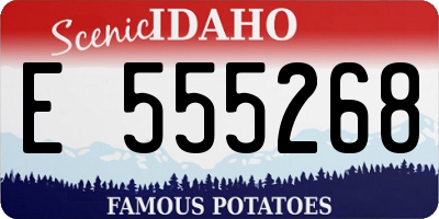 ID license plate E555268