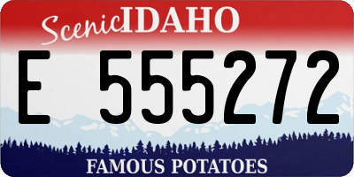 ID license plate E555272