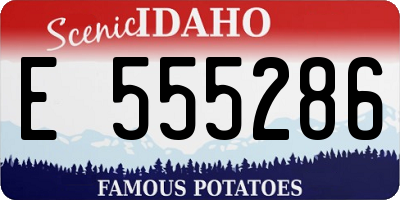 ID license plate E555286