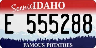 ID license plate E555288