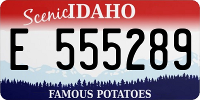 ID license plate E555289