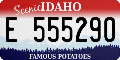 ID license plate E555290